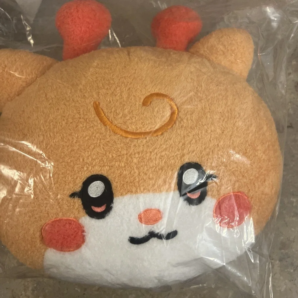 (G)I-DLE‎ Woonini Face Flat Cushion